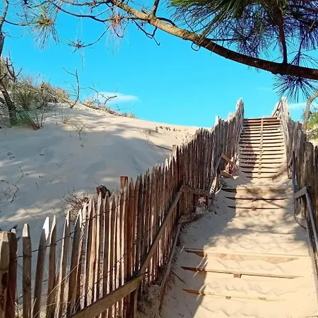 Les Patios De Flore-2 By Interhome Mimizan