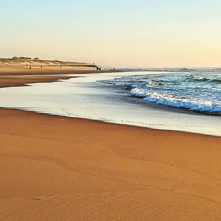 Les Patios De Flore-2 By Interhome Mimizan