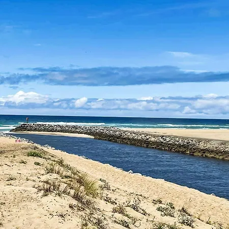 Les Patios De Flore-2 By Interhome Mimizan