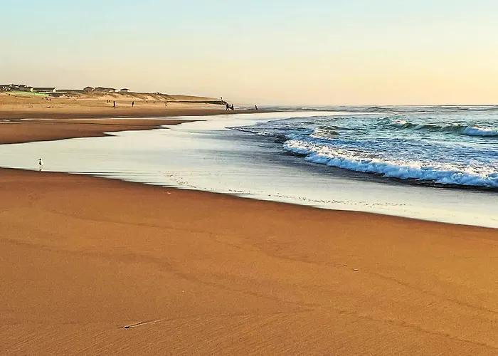 Les Patios De Flore-2 By Interhome Mimizan-Plage